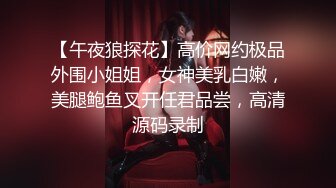 【午夜狼探花】高价网约极品外围小姐姐，女神美乳白嫩，美腿鲍鱼叉开任君品尝，高清源码录制