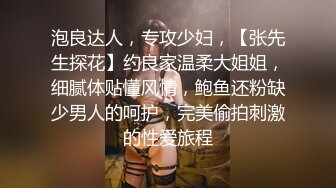 泡良达人，专攻少妇，【张先生探花】约良家温柔大姐姐，细腻体贴懂风情，鲍鱼还粉缺少男人的呵护，完美偷拍刺激的性爱旅程