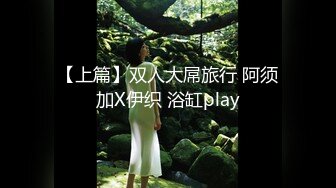 【上篇】双人大屌旅行 阿须加X伊织 浴缸play