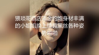 猥琐哥酒店重金约炮身材丰满的小姐姐换上情趣黑丝各种姿势啪啪