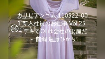 カリビアンコム 110522-001 新入社員のお仕事 Vol.25 ～デキるOLは会社の財産だ～ 前編 遠藤ひかり