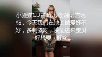 小骚猫CD古晴儿 淫荡语言诱惑，今天我们在地上做爱好不好，多刺激呀，快插进来宝贝，好想要，好痒....