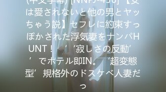 (中文字幕) [NNPJ-436] 【女は愛されないと他の男とヤッちゃう説】セフレに約束すっぽかされた浮気妻をナンパHUNT！ ‘‘寂しさの反動’’でホテル即IN。‘超変態型’規格外のドスケベ人妻だっ