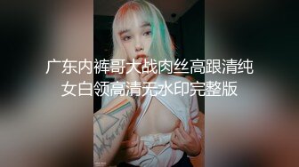 广东内裤哥大战肉丝高跟清纯女白领高清无水印完整版