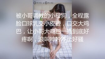 被小哥调教的小母狗，全程露脸口球乳交小皮鞭，口交大鸡巴，让小哥大鸡巴一插到底好疼啊，浪叫呻吟不止好骚